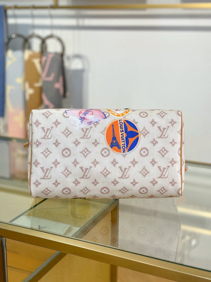 Louis Vuitton Speedy soft 30 – Other Monogram Canvas