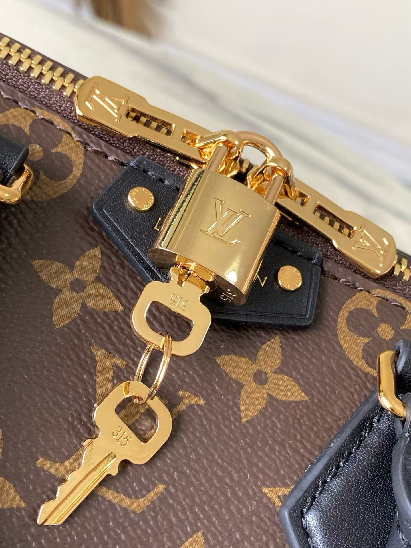LOUIS VUITTON Speedy Trunk 25 – Monogram Canvas
