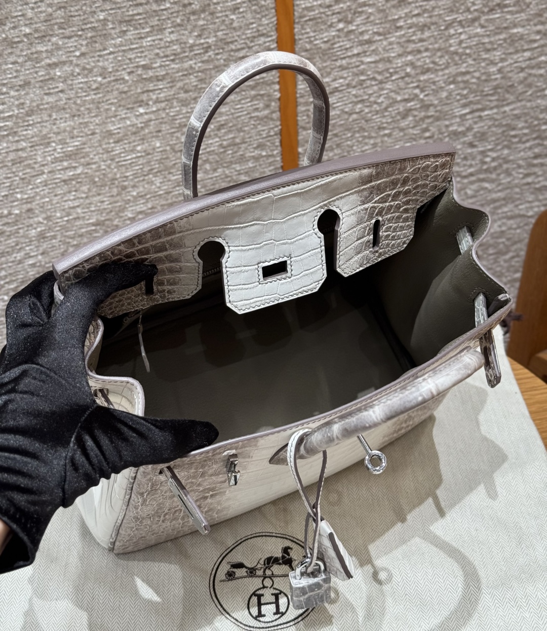 Hermès Birkin 25 – Himalaya Niloticus Crocodile Bag