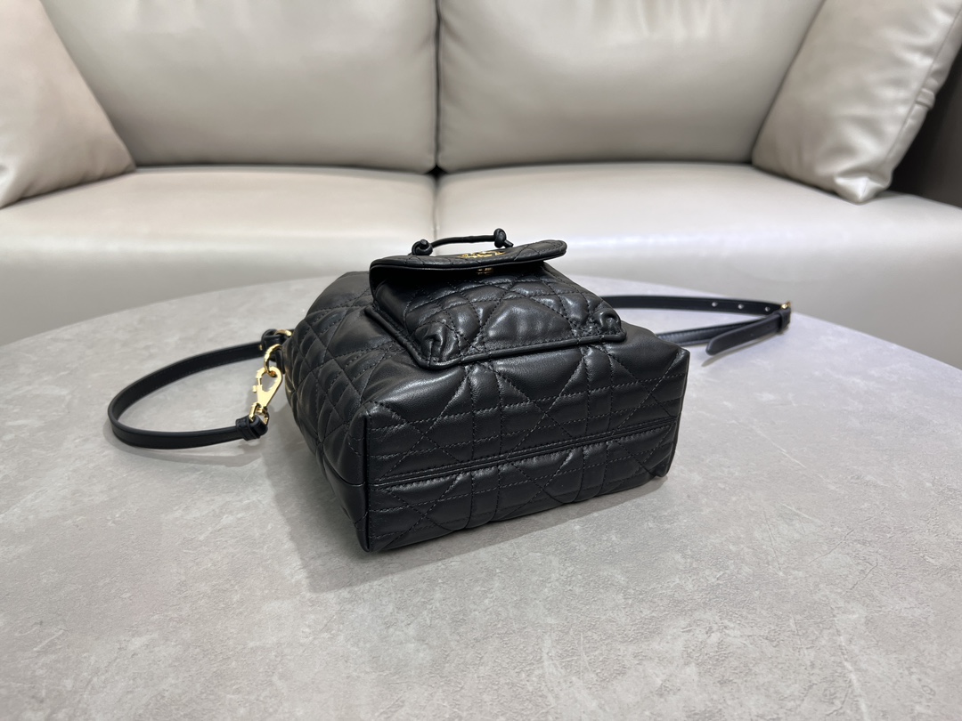 Dior Caro Bucket Bag