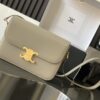 Celine Teen Triomphe Bag 1