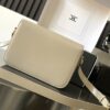 Celine Teen Triomphe Bag 3