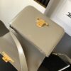 Celine Teen Triomphe Bag 7