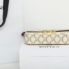 Celine Claude Triomphe Canvas Shoulder Bag