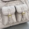 Dior Caro Backpack
