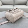Dior Caro Backpack