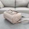 Dior Caro Backpack