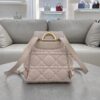 Dior Caro Backpack