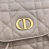Dior Caro Backpack