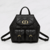 Dior-Caro-Backpack-Black-