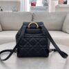 Dior Caro Backpack Black
