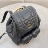 Dior Caro Backpack Black