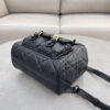 Dior Caro Backpack Black