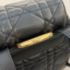Dior Caro Backpack Black