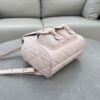Dior Caro Backpack Pink