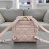 Dior Caro Backpack Pink