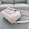 Dior Caro Backpack Pink