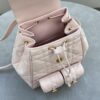 Dior Caro Backpack Pink