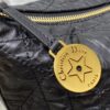 Dior Star Hobo Bag with Chain