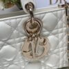 The Soft Dior Caro Bag White