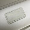 The Soft Dior Caro Bag White