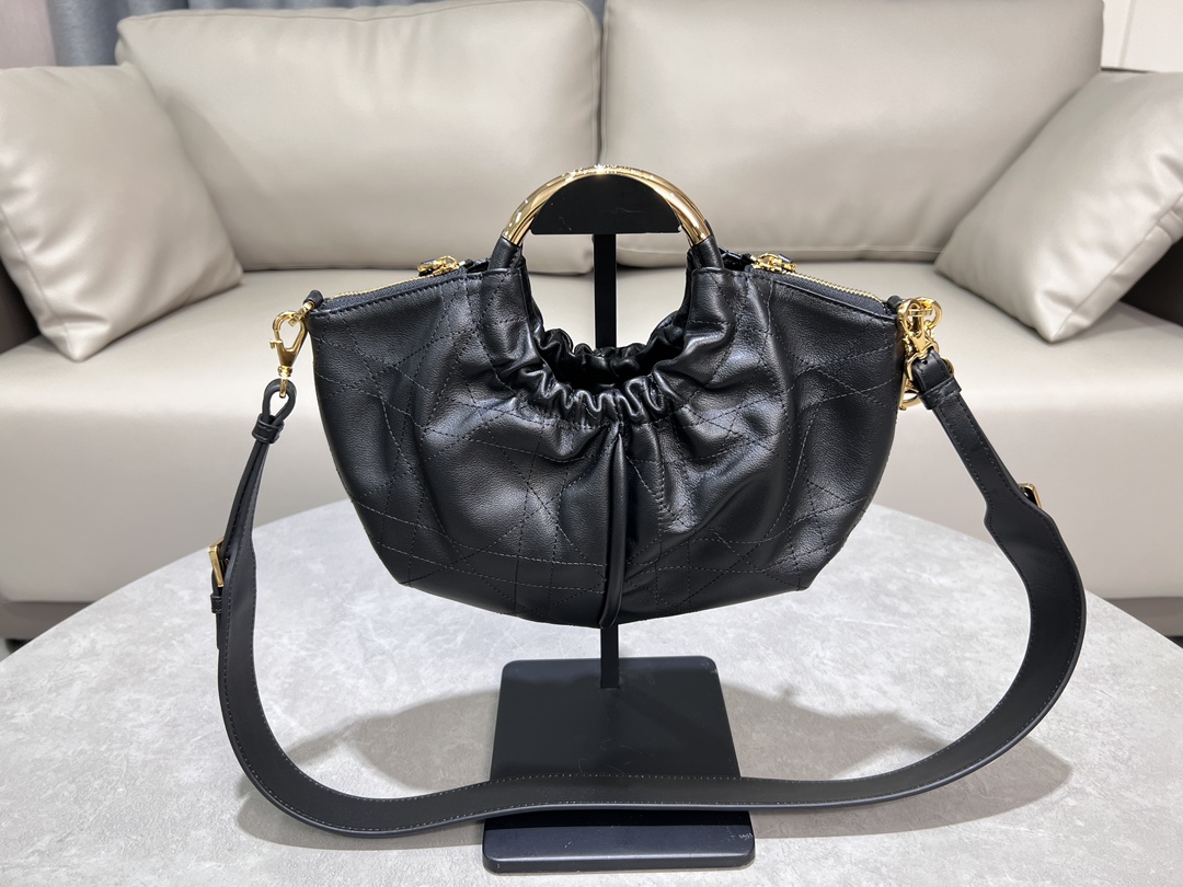 Dior Walk in Dior Bag