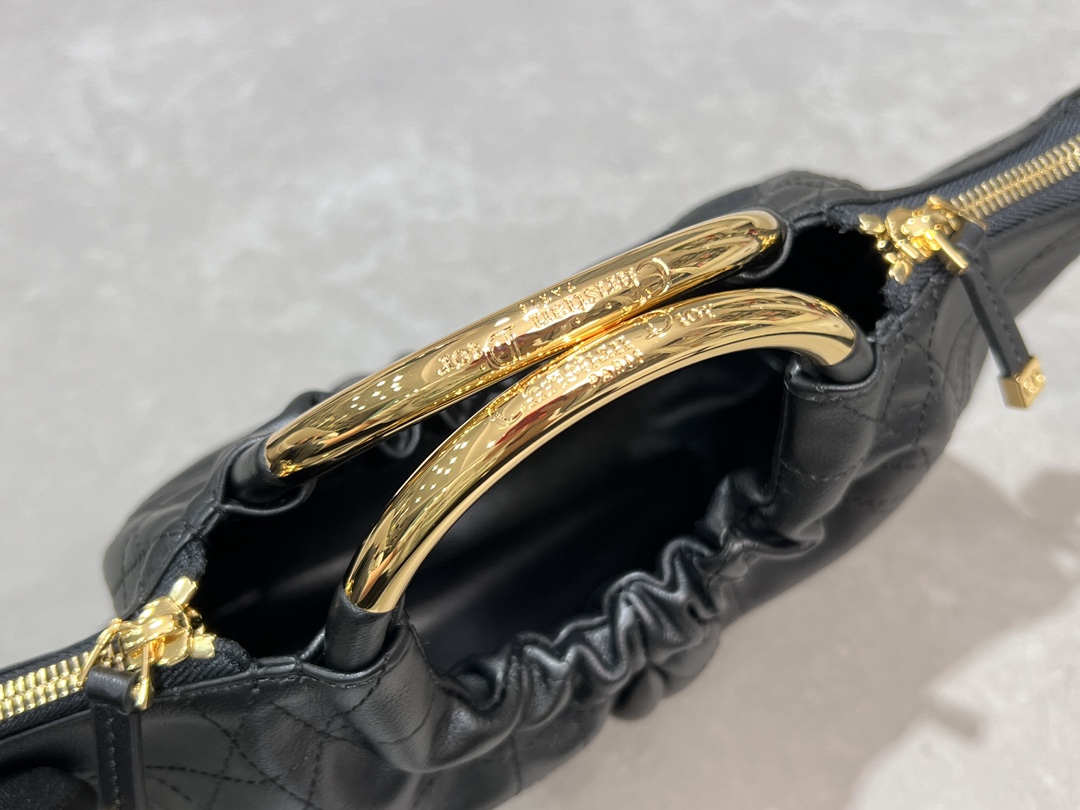 Dior Walk in Dior Bag