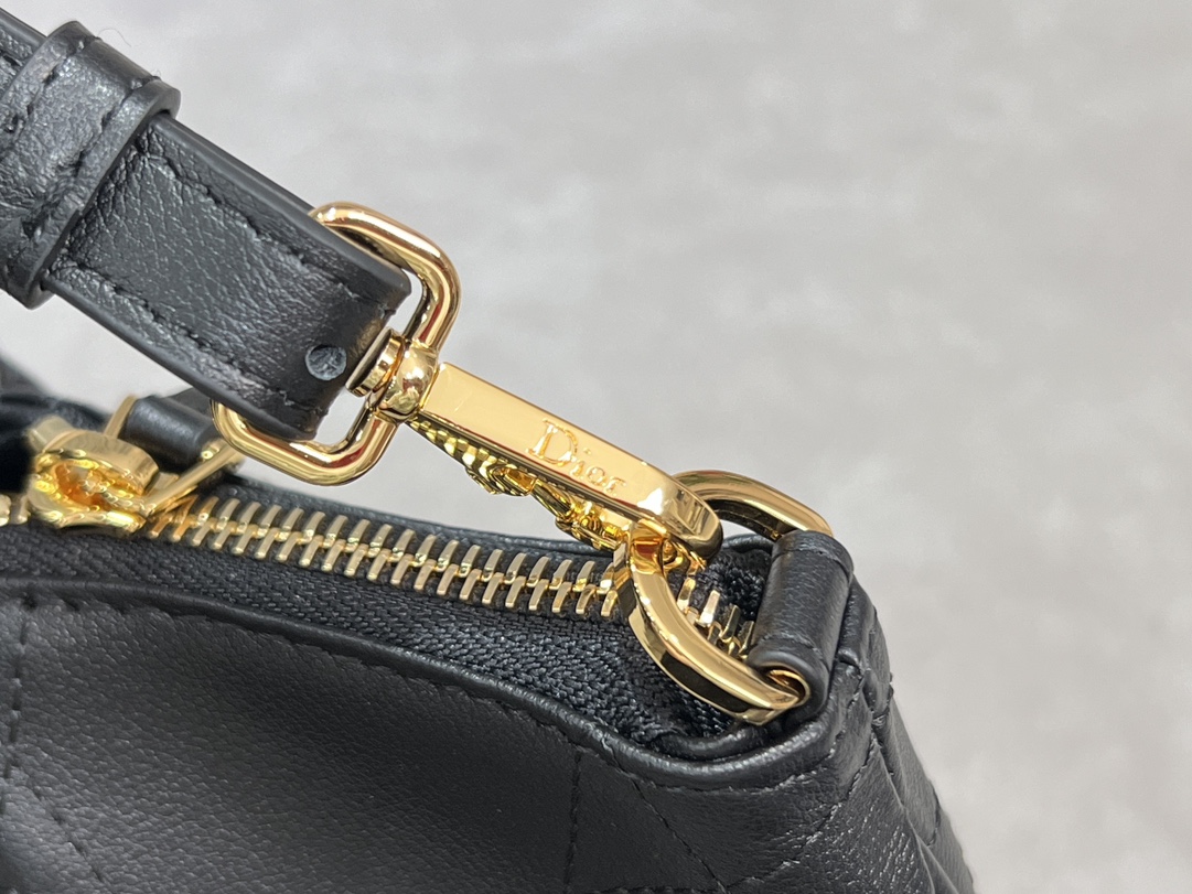 Dior Walk in Dior Bag