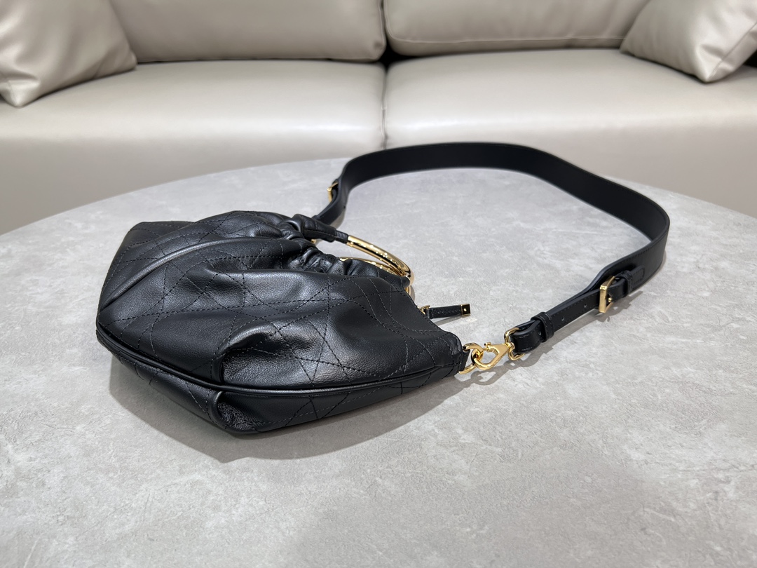 Dior Walk in Dior Bag