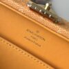 Louis Vuitton Handle Trunk
