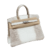 Hermès Birkin 25 – Himalaya Niloticus Crocodile Bag
