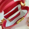 Louis Vuitton Capucines Mini Bag