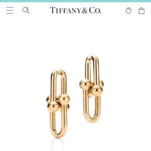 Tiffany Link Earrings