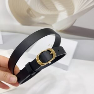 Christian Dior 30 Montaigne Reversible Belt