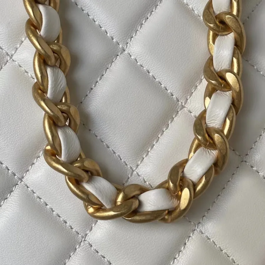 Chanel CC Chain Around Hobo Bag