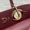 Dior Lady D-Sire Bag