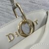 Dior Lady D-Sire Bag