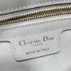Dior Lady D-Sire Bag Grey 9