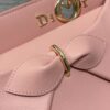 Dior Lady D-Sire Bag