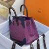 Hermès Tricolor Ghillies Ostrich Birkin 30 – Permabrass Hardware