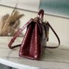 Louis Vuitton Rose des Vents Handbag