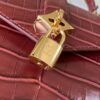 Louis Vuitton Rose des Vents Handbag