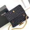 Celine Claude Chain Shoulder Bag in Raffia 16