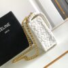Celine Claude Chain Shoulder Bag in Raffia 2