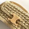 Celine Claude Chain Shoulder Bag in Raffia 23