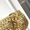 Celine Claude Chain Shoulder Bag in Raffia 24