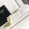 Celine Claude Chain Shoulder Bag in Raffia 4