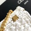 Celine Claude Chain Shoulder Bag in Raffia 6