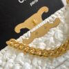 Celine Claude Chain Shoulder Bag in Raffia 9