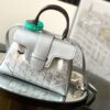 Goyard Saigon Handbag 1